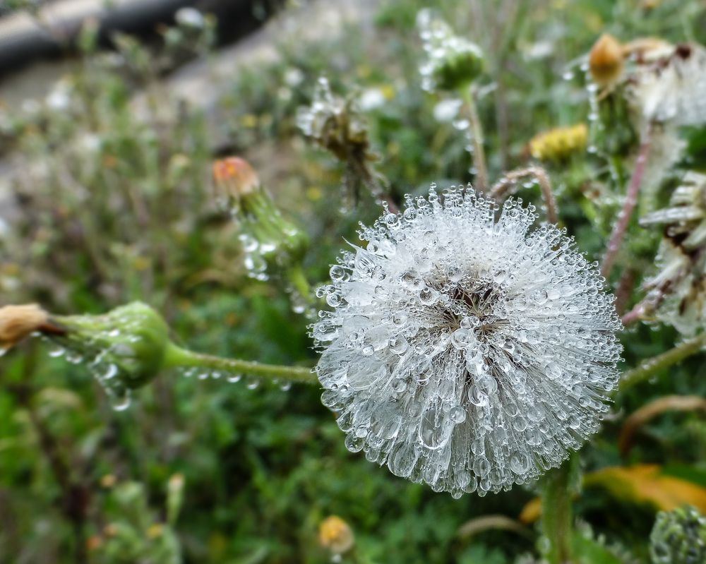 Photograph by Анатолий Костерев