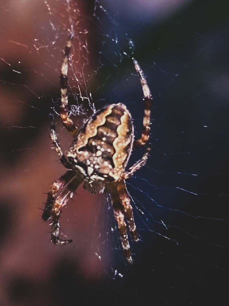 Photograph by Ольга Скиба