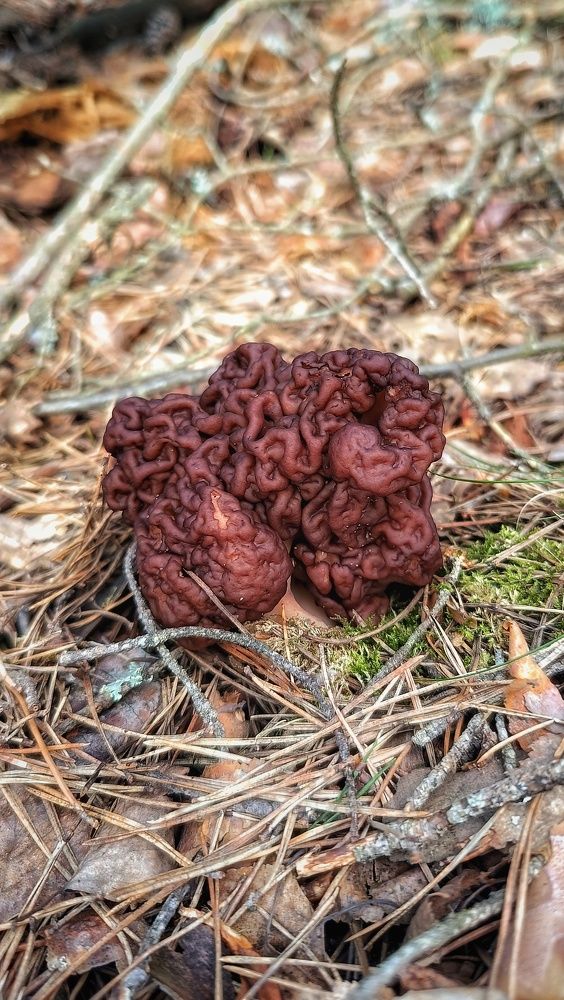 Photograph by Leanid Kulpo