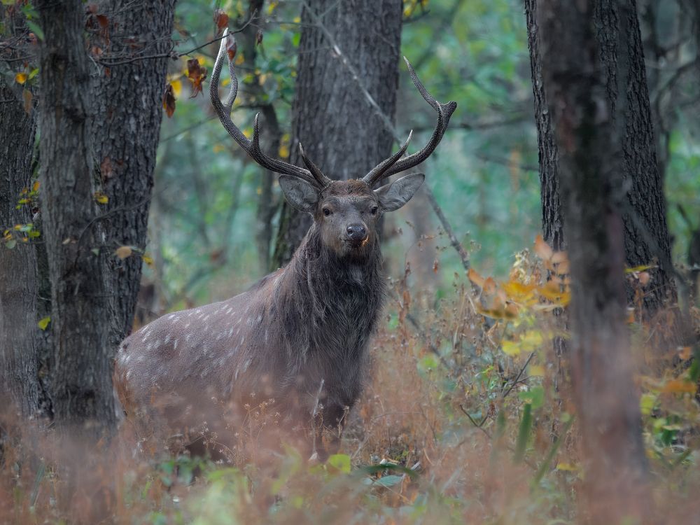 Photograph by Сергей Немцев