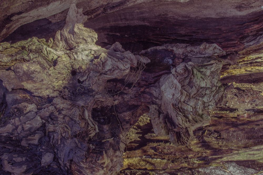 Photograph by Ольга Степанова