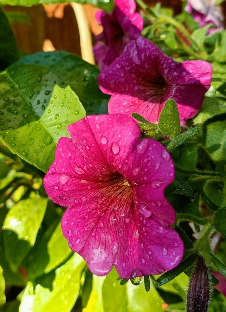 Фотография автора Татьяна Антонова