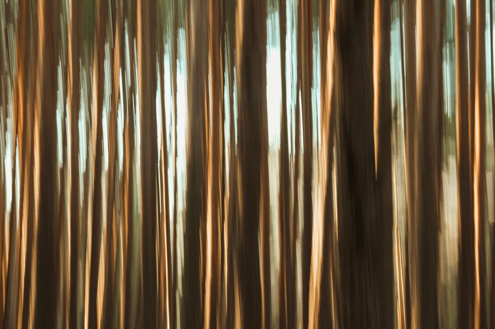 Photograph by Ольга Степанова