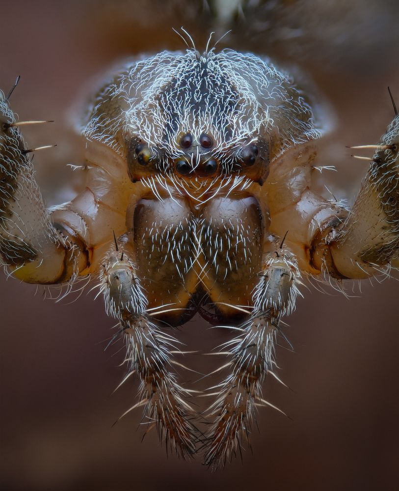 Photograph by Юрий Юрьевич Подгрушный