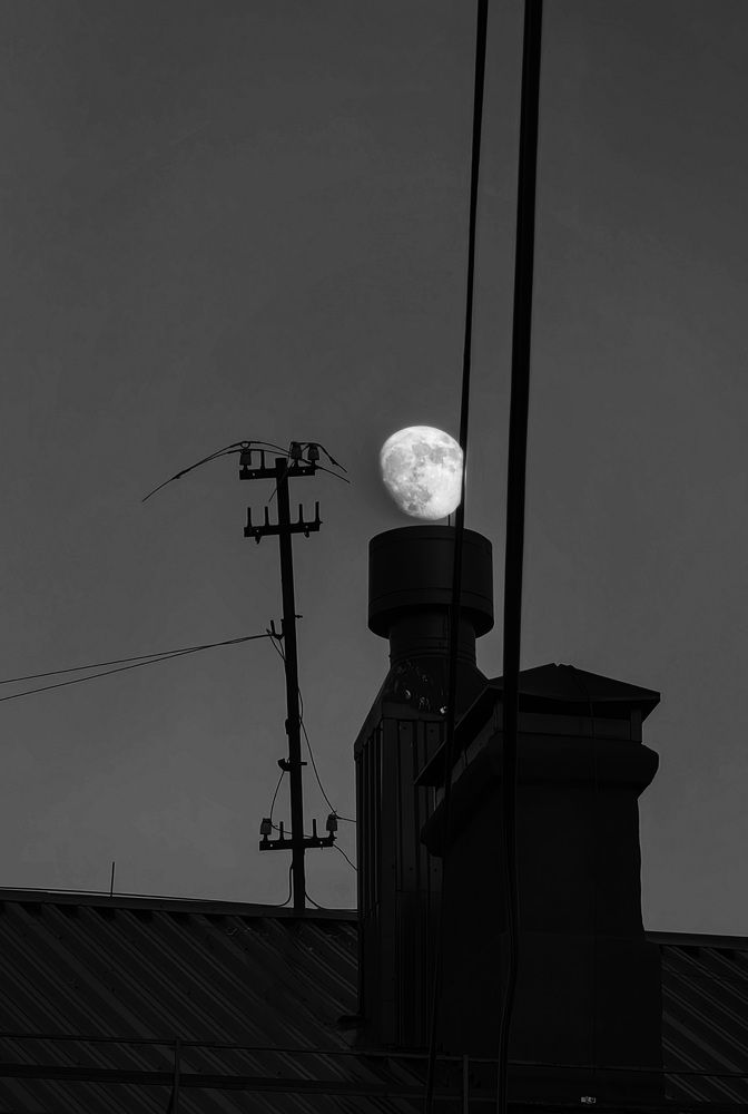 Photograph by Кристина Рыбина