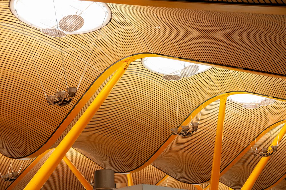 Фотография автора Сергей Сынтин