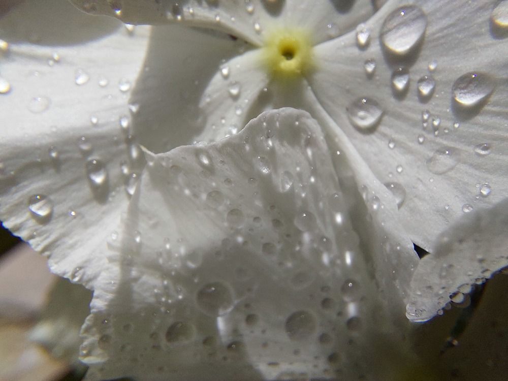 Photograph by CRINALDO REIS