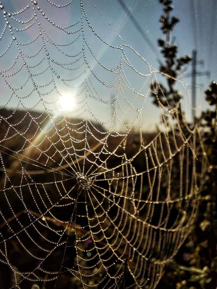 Photograph by Ксения Цветкова