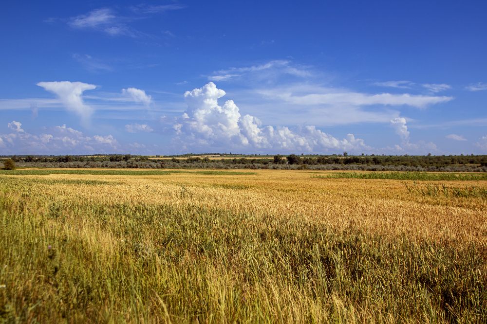 Photograph by Лариса Осьмак