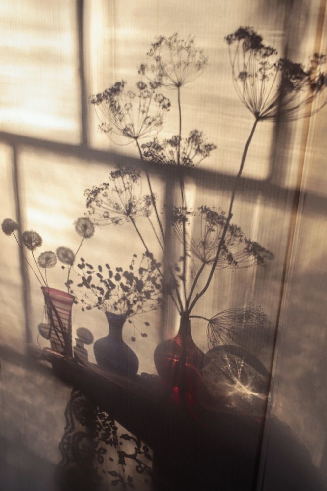 Рисунки уходящего света