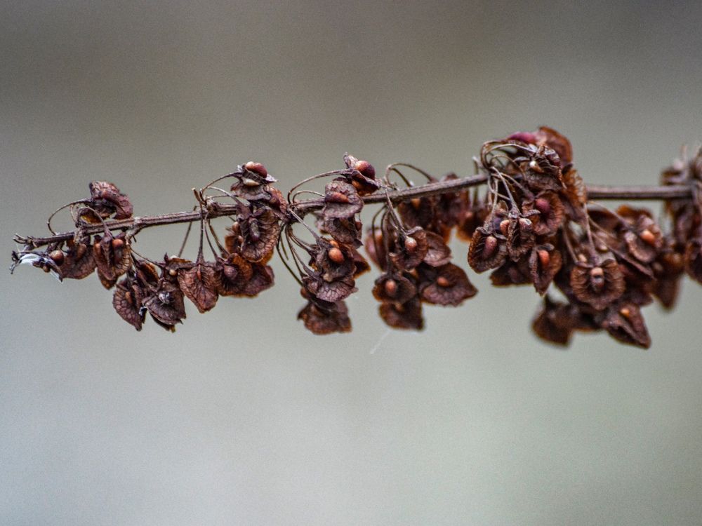 Photograph by Анастасия Гурова