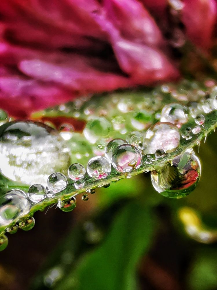 Photograph by Елена Артёменко