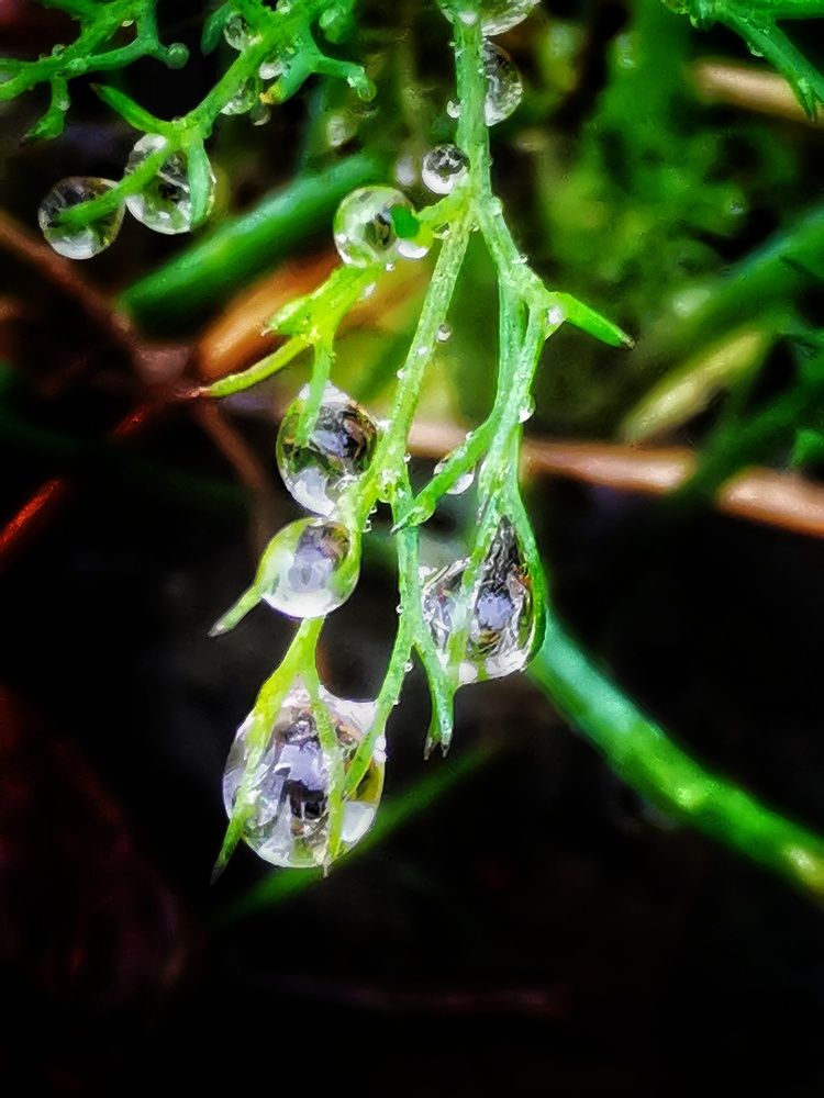 Photograph by Елена Артёменко