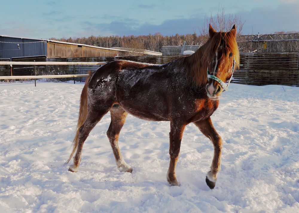 Photograph by Баженова Наталья