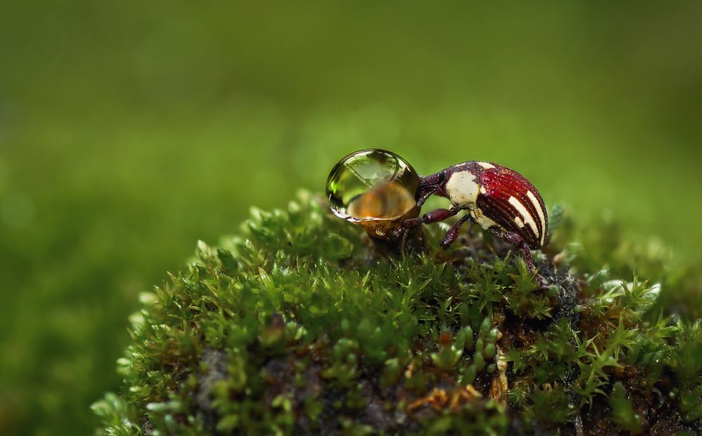 Photograph by Тараненко Анжелика