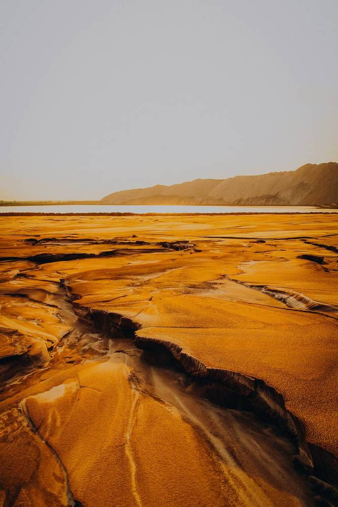 Фотография автора Алиса Исаева