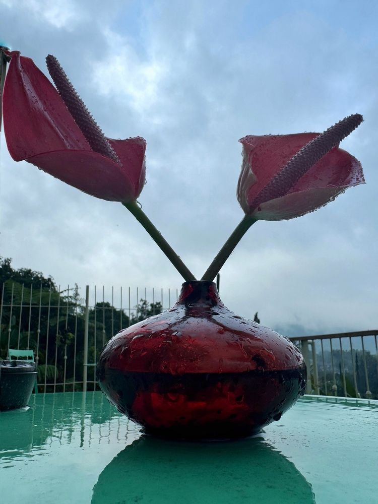 Photograph by Ирина Бондарева