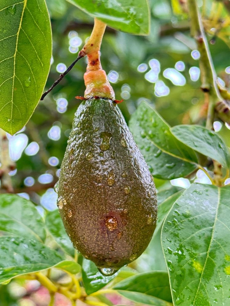 Photograph by Ирина Бондарева