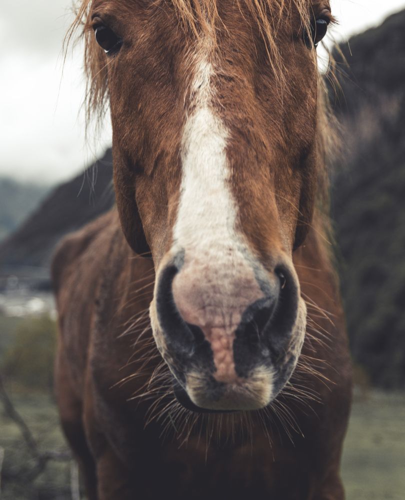 Photograph by Сергей Лексин