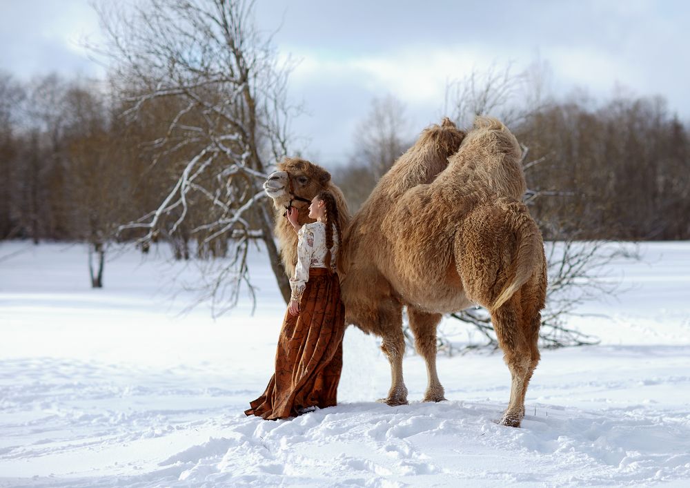 Photograph by Юлия Персинен