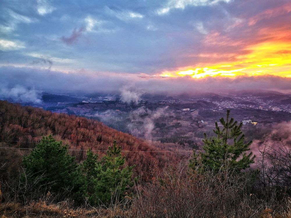 Photograph by Елена Артёменко