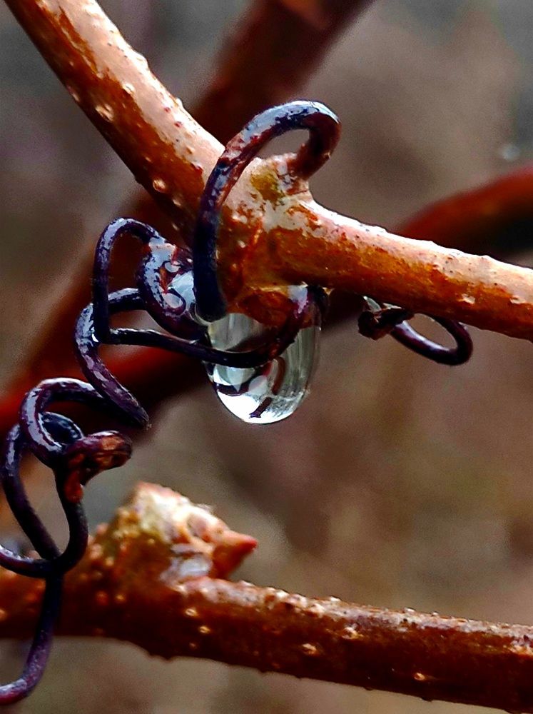 Photograph by Татьяна Солтан