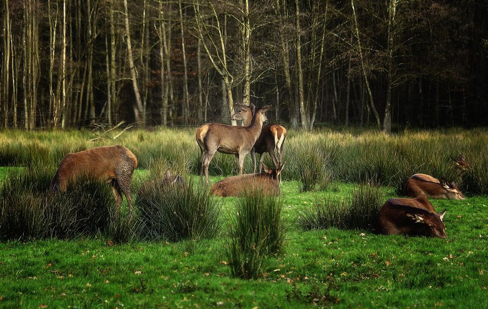 Фотография автора Александр