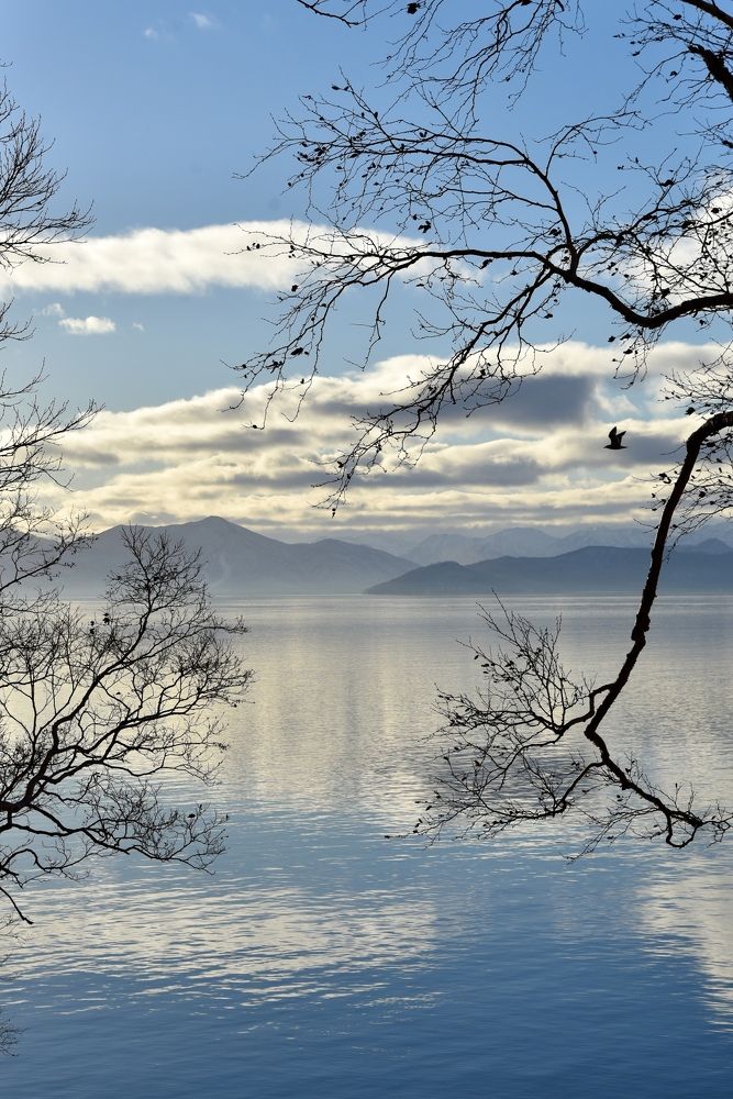 Photograph by Ольга Струкалина