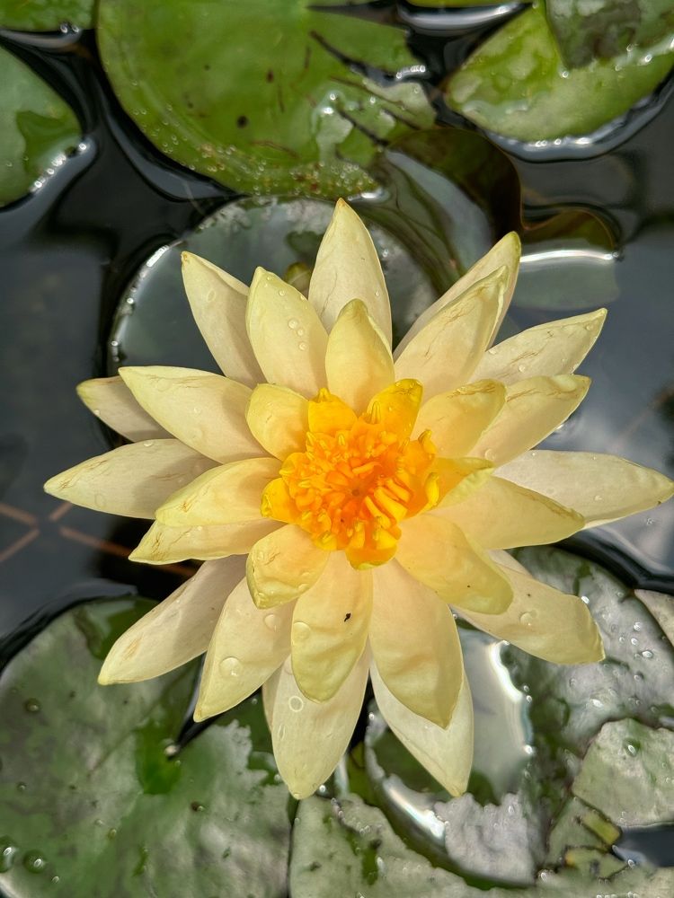 Photograph by Ирина Бондарева