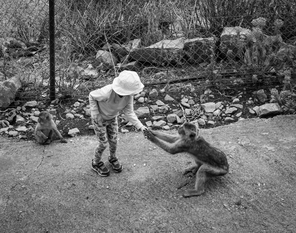 Photograph by Андрей Безгин