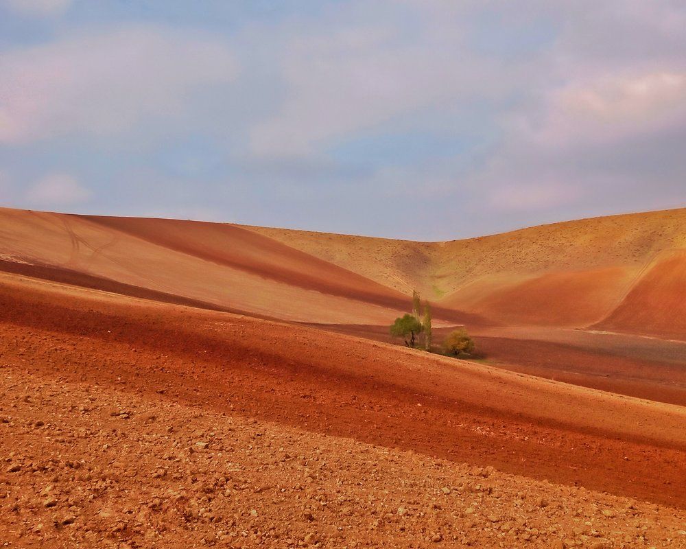 Фотография автора mohammad Alipour