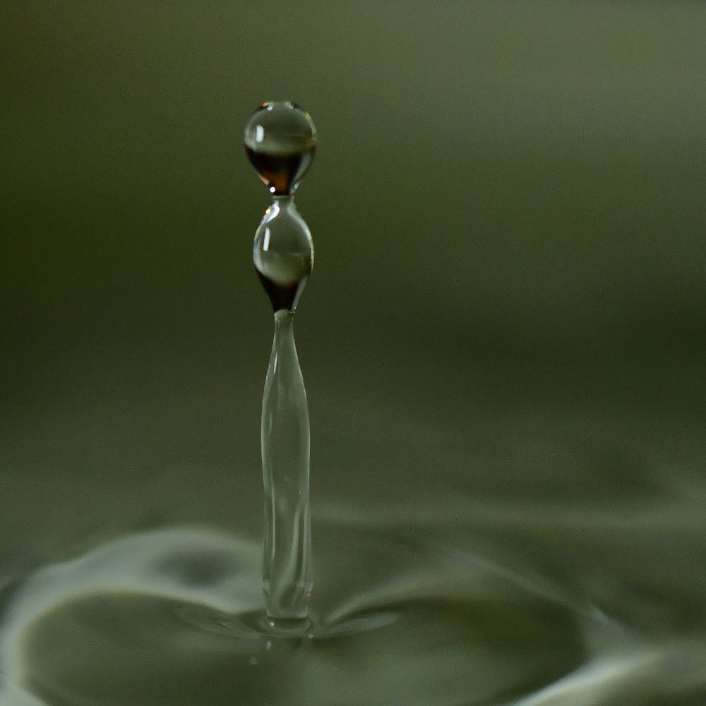 Photograph by Николай Абакумов