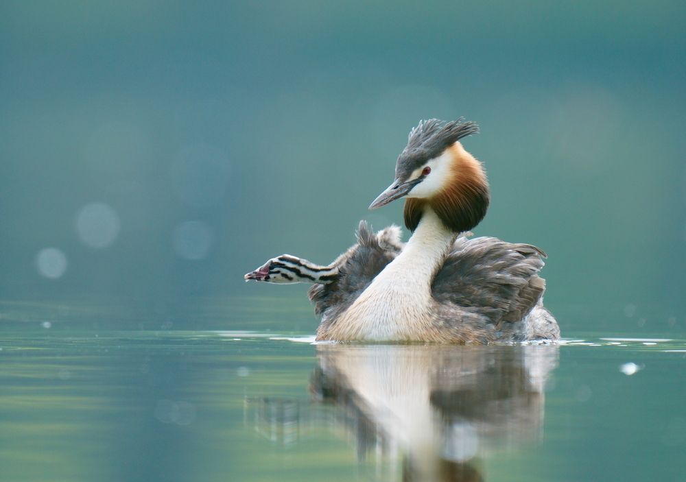 На пороге взросления