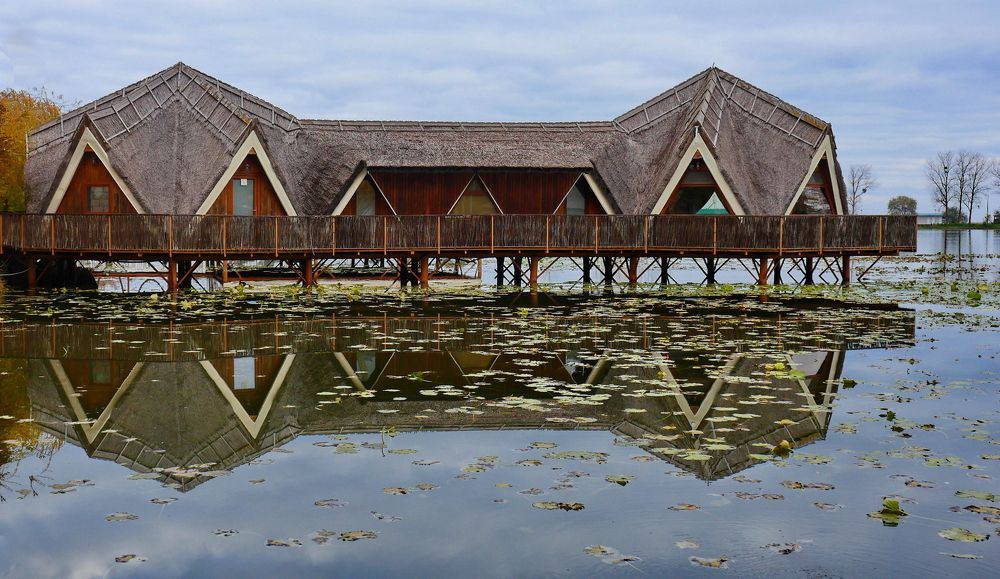 The house on the lake