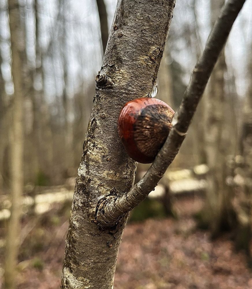 Photograph by Анатолий Протасов