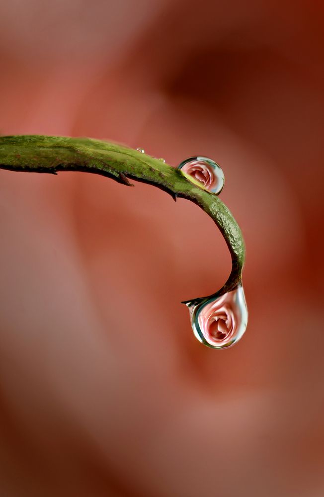 Photograph by Maryam Jassim