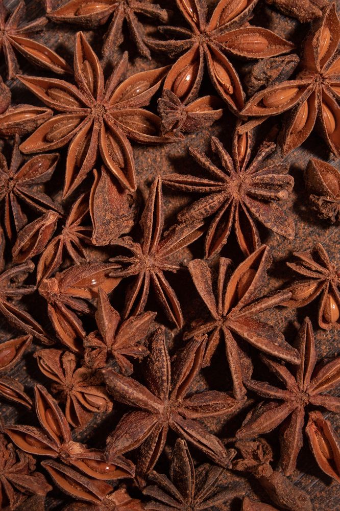 Photograph by Rajka Milojić