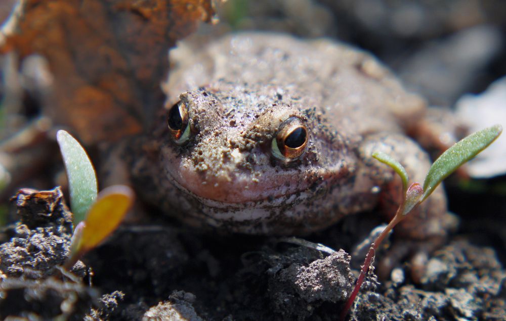 Photograph by Баженова Наталья