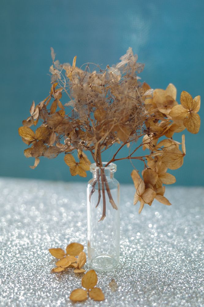 Photograph by Алла Никушкина