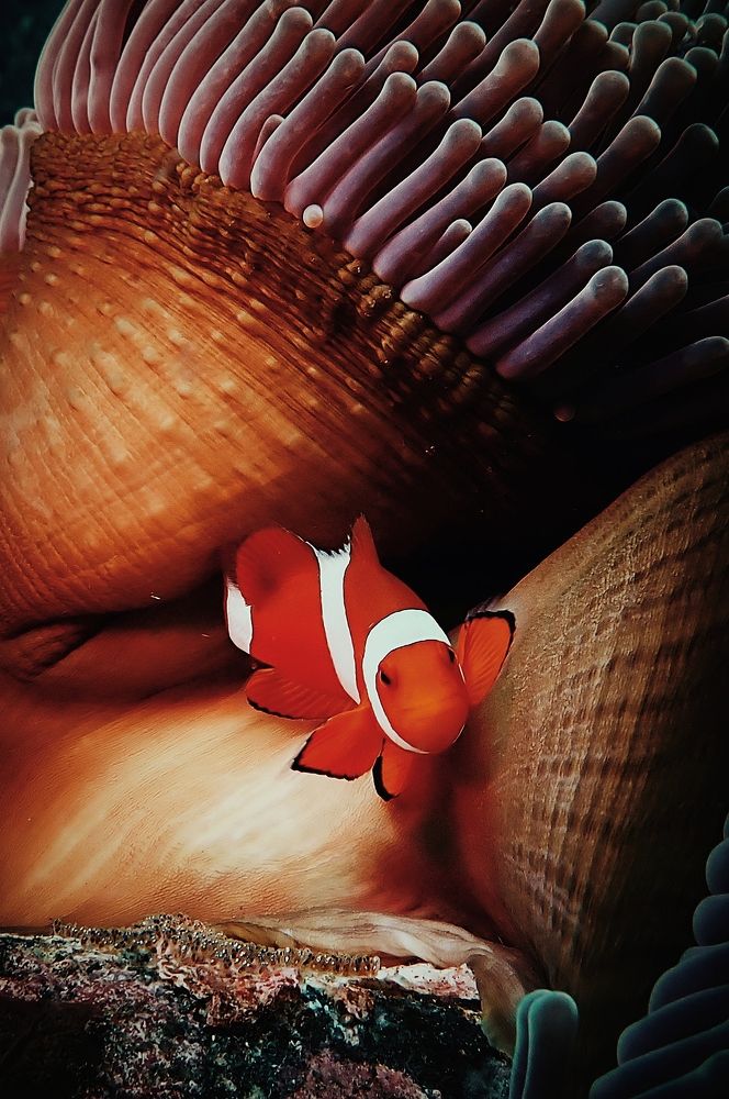 Photograph by Кирилл Леднев