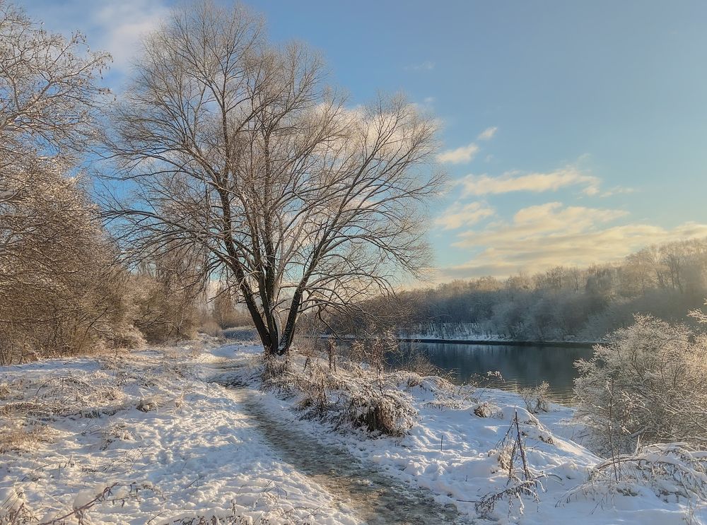 Photograph by Мария Сазонова