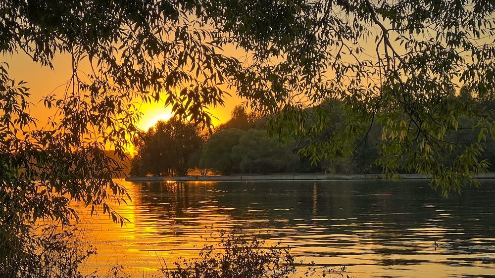 Photograph by Мария Сазонова