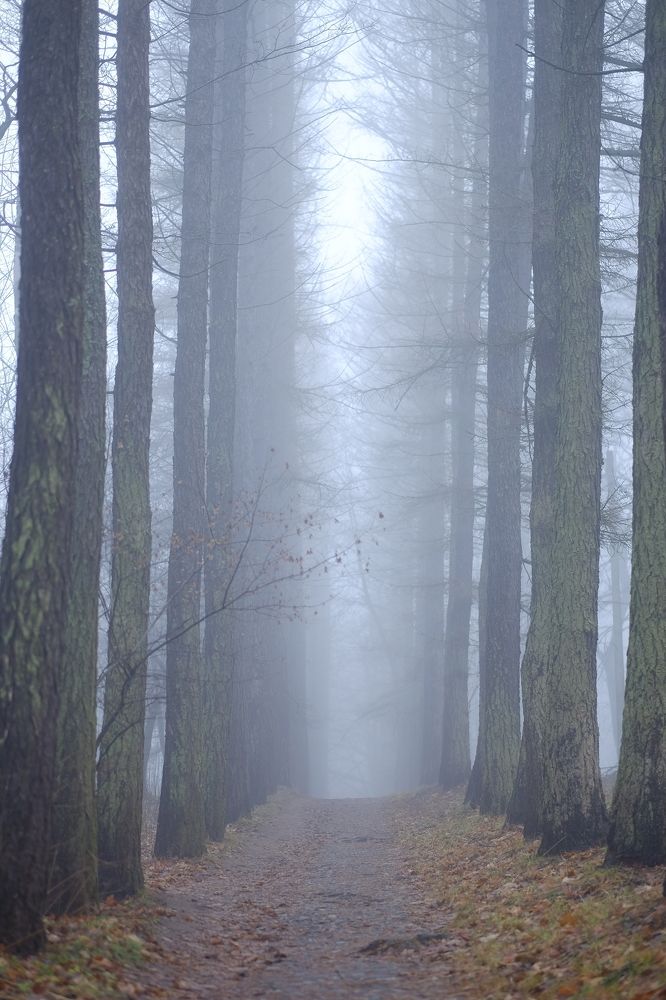 Photograph by Лариса Андреева