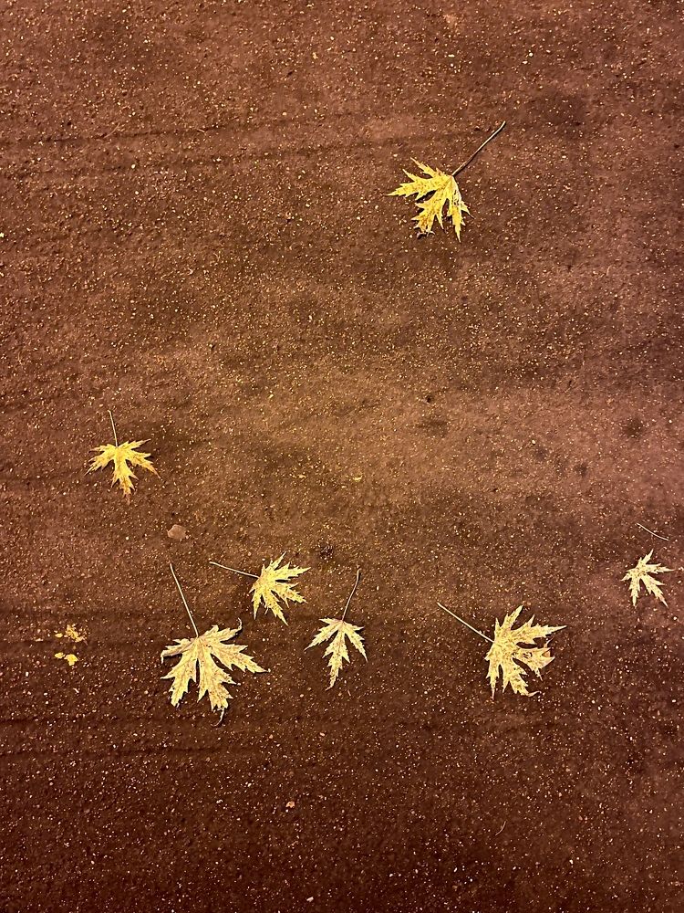 Photograph by Наталья Ермакова