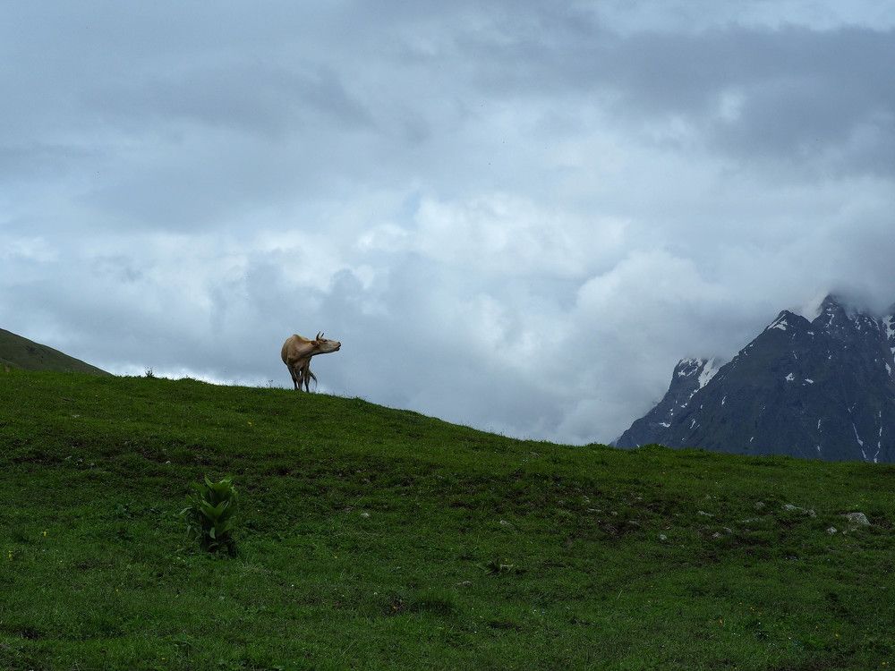 Photograph by Алексей Селезнёв