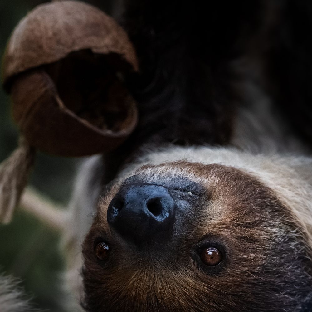 Photograph by Анна Стрелковская