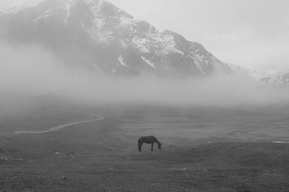 Фотография автора Шипунова Ирина