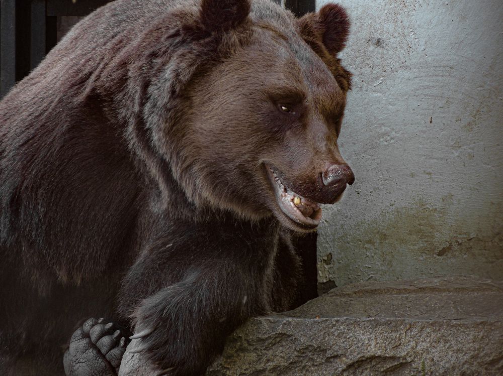 Photograph by Галина Суровицкая