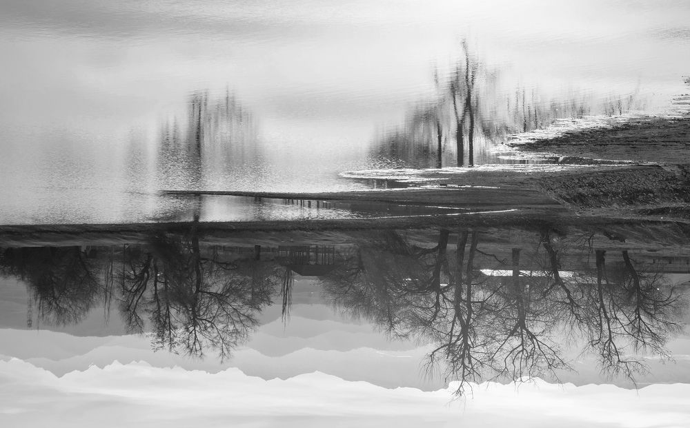 Фотография автора Шипунова Ирина