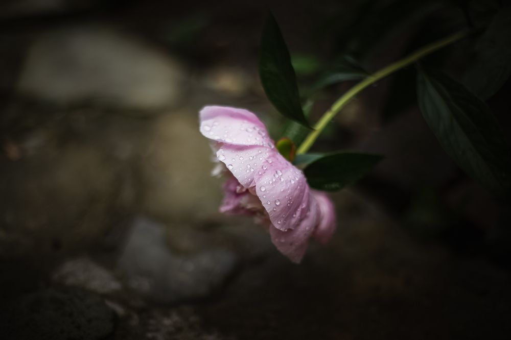 Photograph by Филипп Бабенко